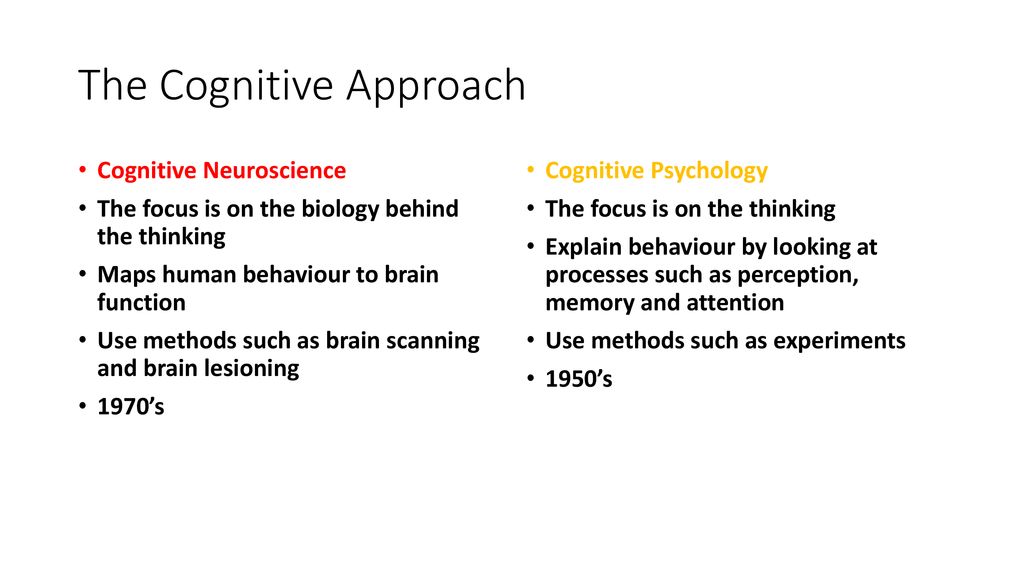 Cognitive Approach Psychology A Level 2024 favors